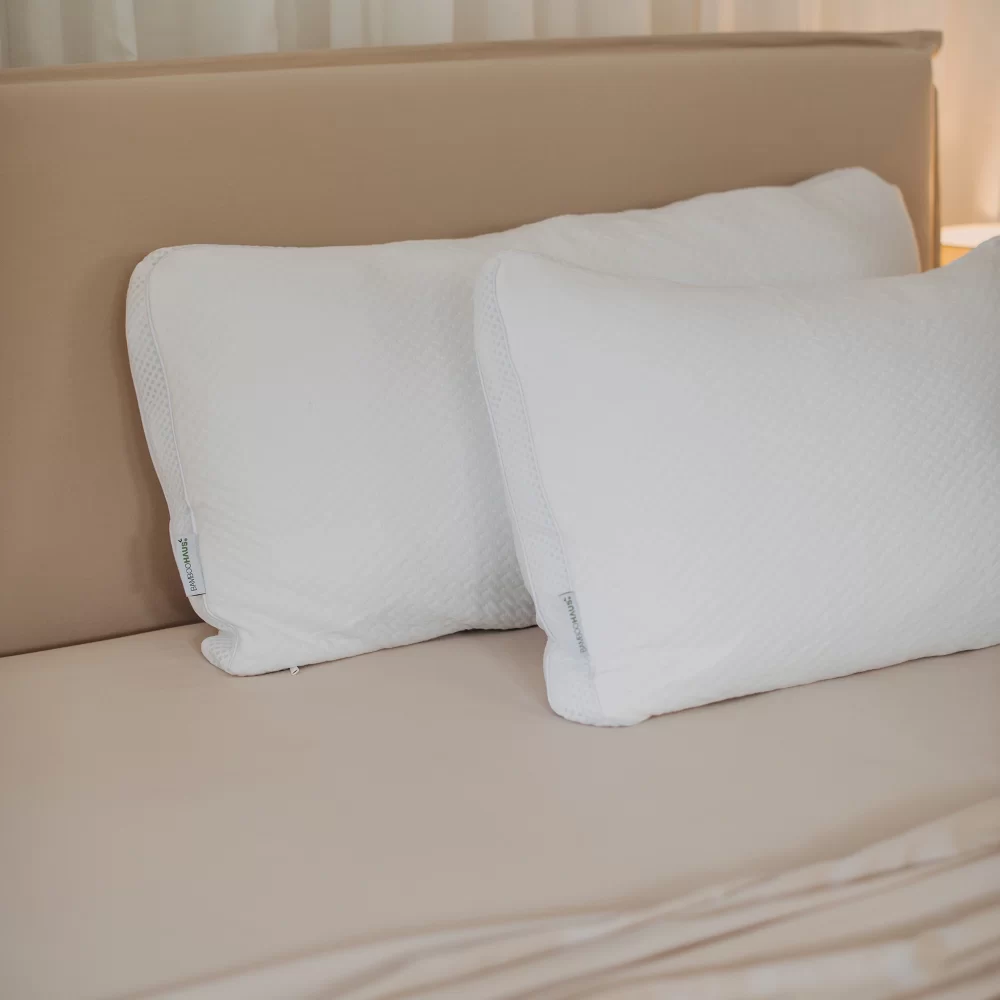 Superior Slumber Bamboo Memory Foam Pillow